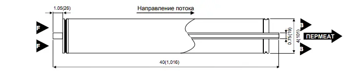 4040.jpg