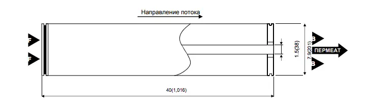 8080.jpg